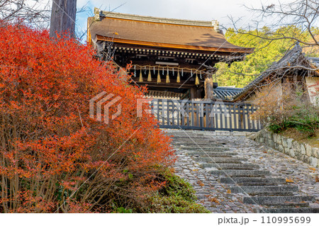 京都市山科区の毘沙門堂 勅使門とドウダンツツジの紅葉 京都市山科区の毘沙門堂 勅使門とドウダンツツジの紅葉 110995699