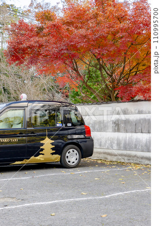 京都市山科区の毘沙門堂　駐車場の紅葉 110995700
