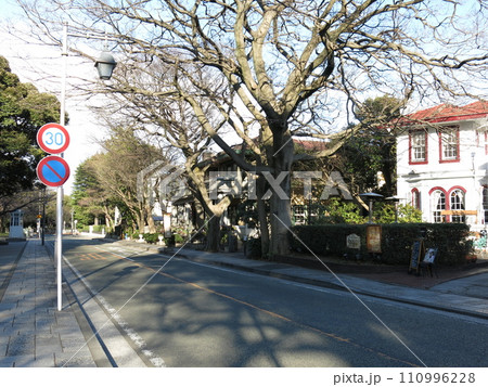 古い洋館が建ち並ぶ横浜の山手本通り（えの木てい・山手234番館付近） 110996228