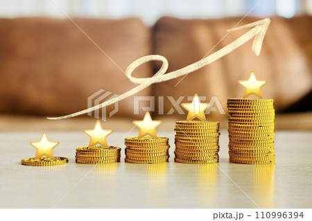 お金と五つ星 お金と五つ星 110996394