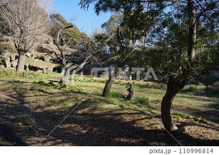 鎌倉の曼荼羅堂跡　 110996814