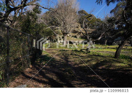 鎌倉の曼荼羅堂跡　 110996815