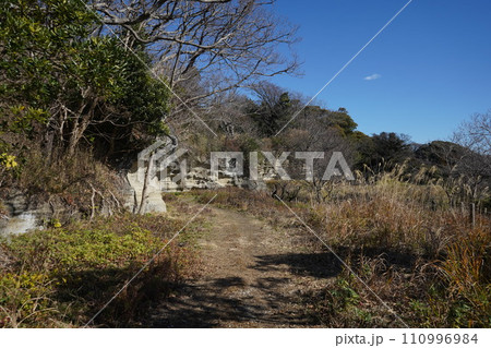 鎌倉のお猿畠の大切岸 110996984