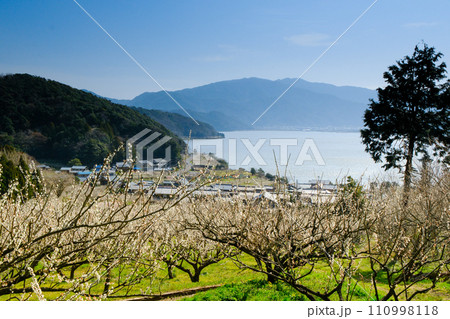 湖畔の春模様 110998118