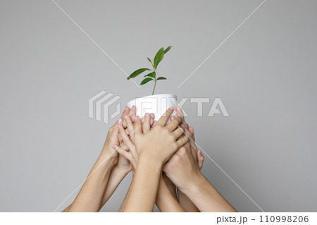 Environment protection concept. Human hands with green plant on gray background 110998206