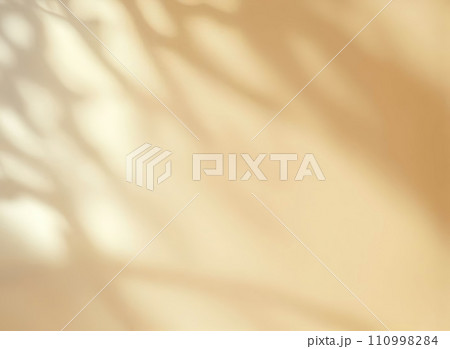 Minimalistic abstract gentle light yellow background for product presentation with light and intricate shadow from tree branches on wall Minimalistic abstract gentle light yellow background for product presentation with light and intricate shadow from tree branches on wall 110998284