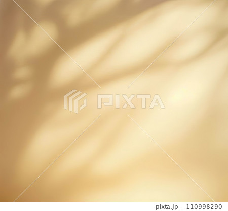 Minimalistic abstract gentle light yellow background for product presentation with light and intricate shadow from tree branches on wall Minimalistic abstract gentle light yellow background for product presentation with light and intricate shadow from tree branches on wall 110998290