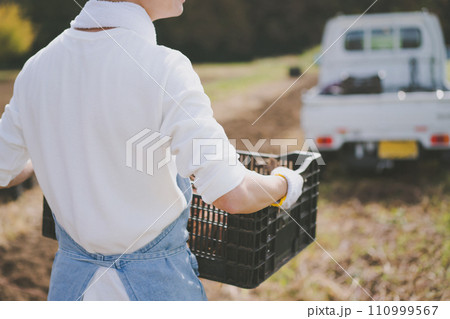 vegetable field 110999567