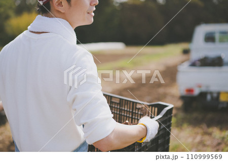 vegetable field 110999569