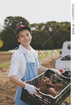 vegetable field vegetable field 110999582