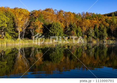 志賀高原　秋の木戸池の早朝紅葉の景色 111000701