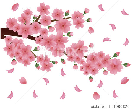 花びらが舞う背景素材　桜のイラスト 111000820
