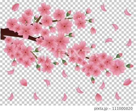 花びらが舞う背景素材　桜のイラスト 111000820
