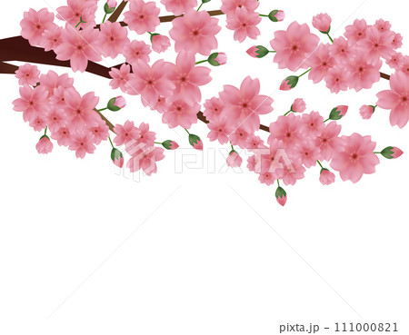 ピンクの桜のイラスト 桜の花びらのイラスト ピンクの桜のイラスト 桜の花びらのイラスト 111000821