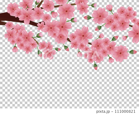 ピンクの桜のイラスト 桜の花びらのイラスト ピンクの桜のイラスト 桜の花びらのイラスト 111000821