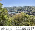 新緑の中の川 111001347