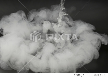 煙　スモーク 111001402