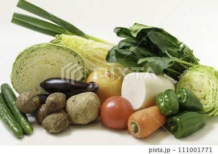 指定野菜14品目 111001771