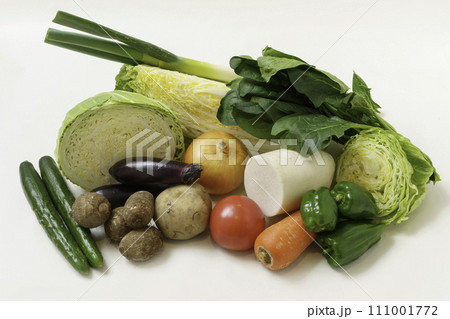 指定野菜14品目 111001772