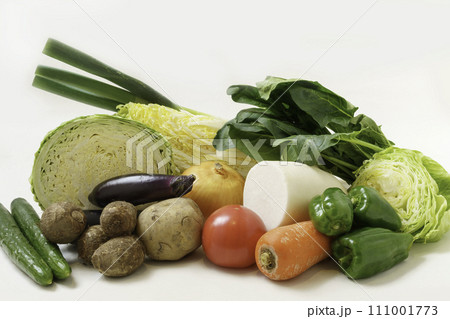 指定野菜14品目 111001773