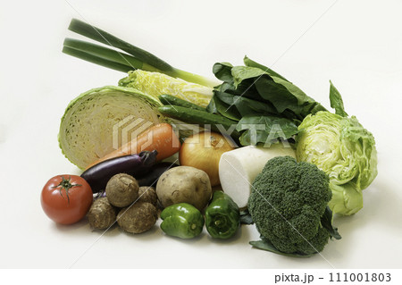 指定野菜14品目＋ブロッコリー 111001803
