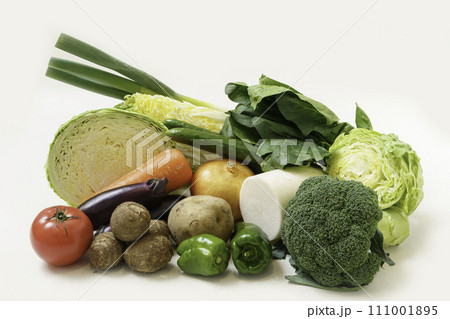 指定野菜15品目 111001895