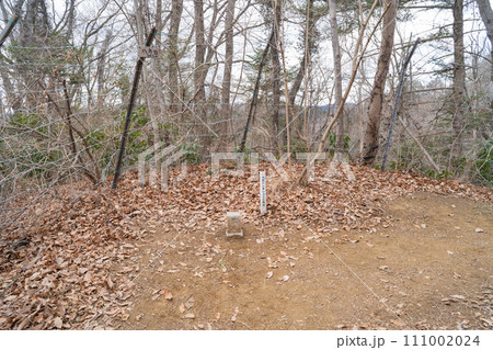 八方山の山頂(南高尾山稜) 八方山の山頂(南高尾山稜) 111002024