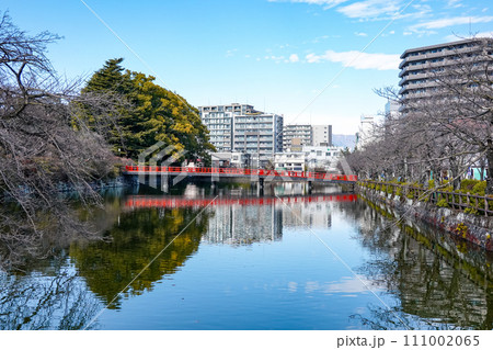 小田原城二の丸東堀に架かる学橋(神奈川県小田原市) 小田原城二の丸東堀に架かる学橋(神奈川県小田原市) 111002065