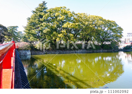 小田原城二の丸東堀に架かる学橋(神奈川県小田原市) 小田原城二の丸東堀に架かる学橋(神奈川県小田原市) 111002092
