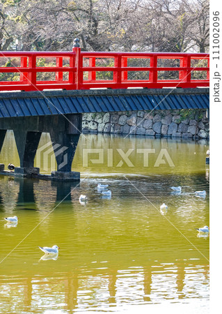 小田原城二の丸東堀に架かる学橋(神奈川県小田原市) 小田原城二の丸東堀に架かる学橋(神奈川県小田原市) 111002096