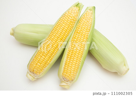 トウモロコシ 111002305