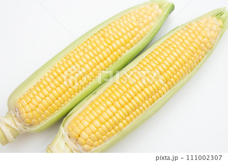 トウモロコシ 111002307
