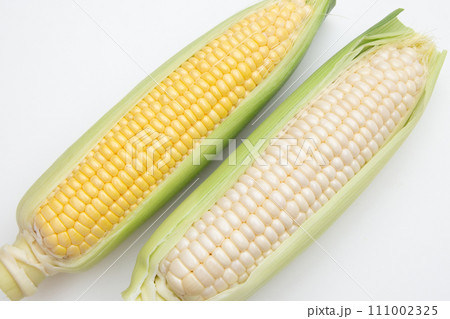 トウモロコシ トウモロコシ 111002325