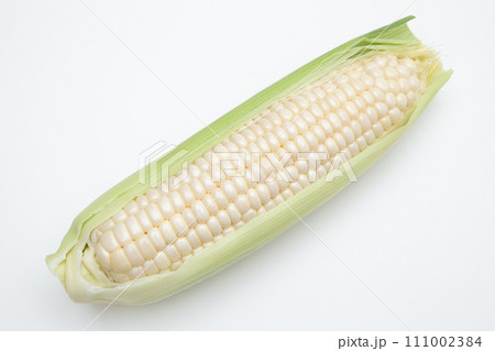 トウモロコシ 111002384
