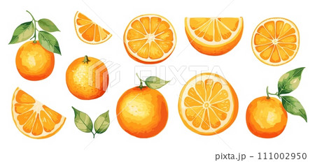 AI-generated content. Fresh orange watercolor slices. Isolated oranges with green leaves. Natural organic fruits, healthy vitamins tropical food vector clipart 111002950