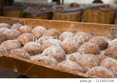 Bread preparation. loaves of dough before baking Bread preparation. loaves of dough before baking 111003266