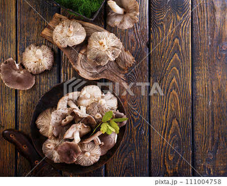 Gray mushrooms on plate on a dark wooden board. 111004758