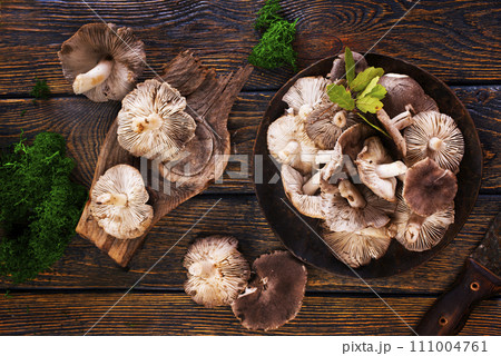 Gray mushrooms on plate on a dark wooden board. 111004761
