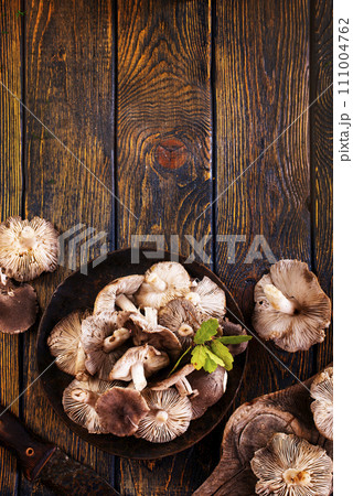 Gray mushrooms on plate on a dark wooden board. Gray mushrooms on plate on a dark wooden board. 111004762