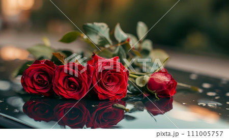 Roses on a car roof 111005757