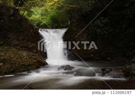 膳棚淵の滝 愛知県北設楽郡 膳棚淵の滝 愛知県北設楽郡 111006197