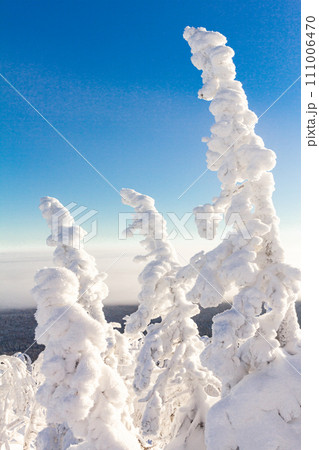 A magical view from above of mountain to white fluffy snow covered spruce. Winter landscape with frosty fir trees and snowflakes, flat area with fog. Kolchim Memorial Stone. Ural, Russia, Europe. A magical view from above of mountain to white fluffy snow covered spruce. Winter landscape with frosty fir trees and snowflakes, flat area with fog. Kolchim Memorial Stone. Ural, Russia, Europe. 111006470
