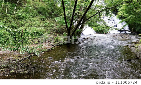 栃木県日光市の湯滝の周辺の川 栃木県日光市の湯滝の周辺の川 111006724