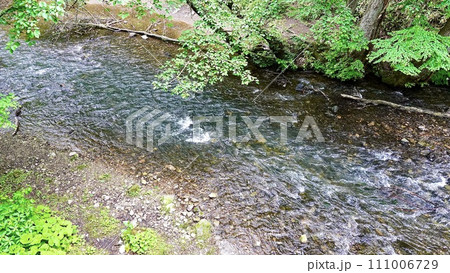 栃木県日光市の湯滝の周辺の川 栃木県日光市の湯滝の周辺の川 111006729