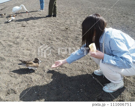 鳥に餌をあげる女の子 111006751