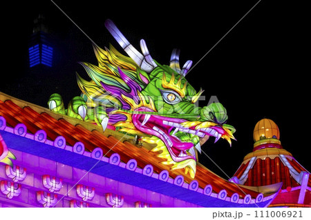 龍 竜 ドラゴン 111006921