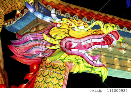 龍 竜 ドラゴン 111006925