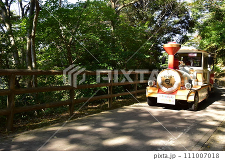 横須賀くりはま花の国 園内を走るフラワートレイン 横須賀くりはま花の国 園内を走るフラワートレイン 111007018