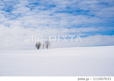 【北海道•美瑛】冬の親子の木 111007033