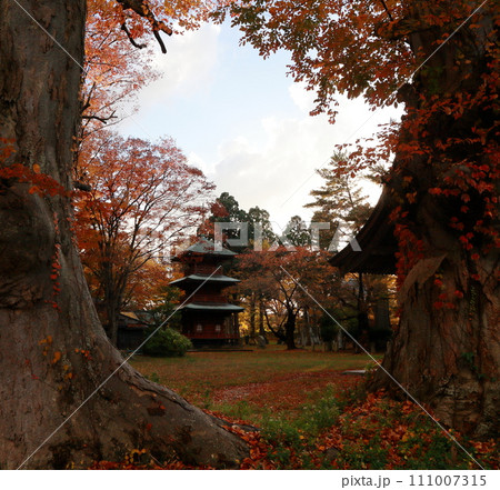 神社の巨大ケヤキと三重塔 111007315